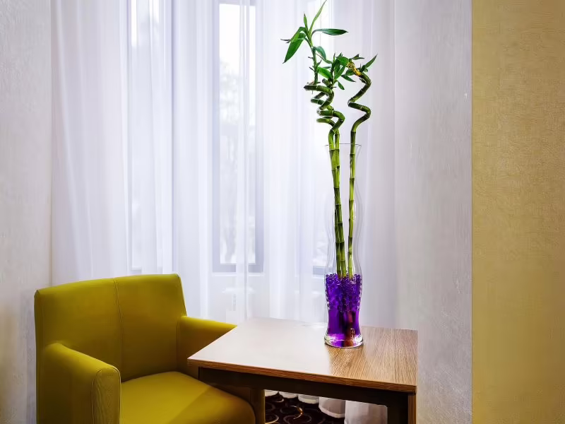 CITY&BUSINESS HOTEL (СИТИ&БИЗНЕС)