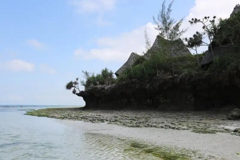 UNGUJA LODGE