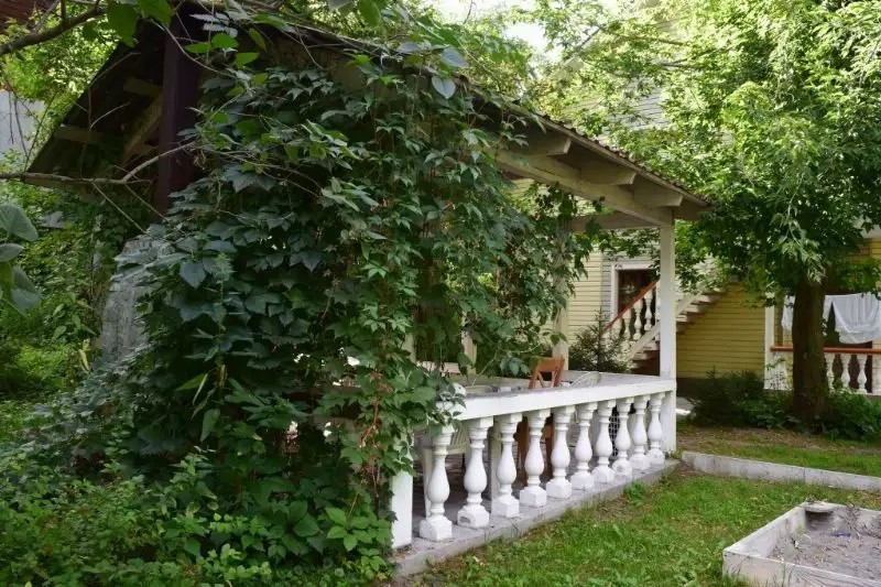 КОЛИБРИ