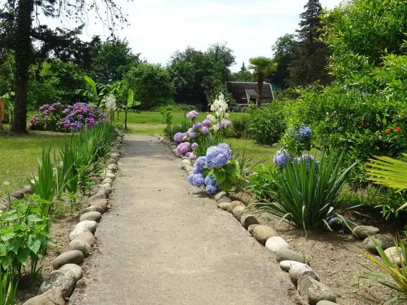 ЗОЛОТАЯ БУХТА