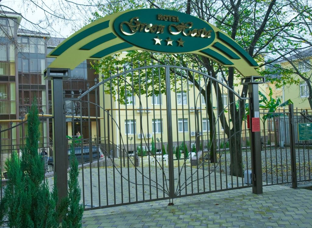GREEN HOSTA (ГРИН ХОСТА)