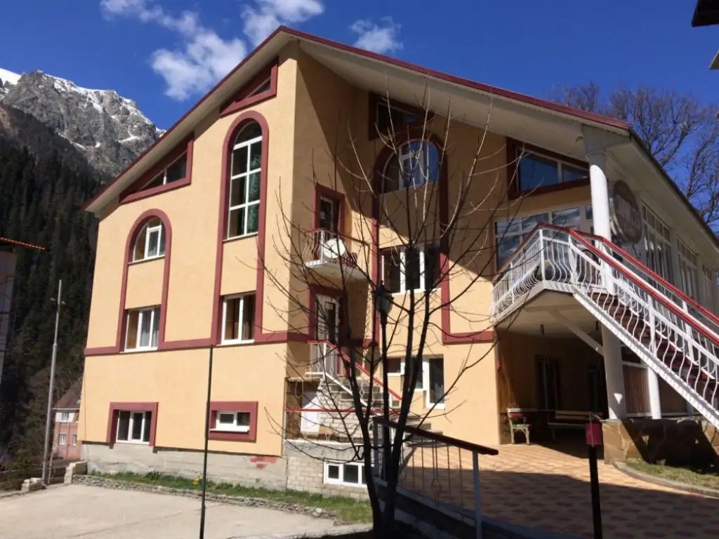 СТАРЫЙ КЛЕН