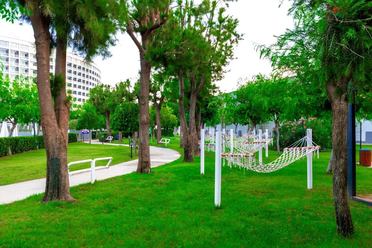 CRYSTAL CENTRO PEARL COLLECTION