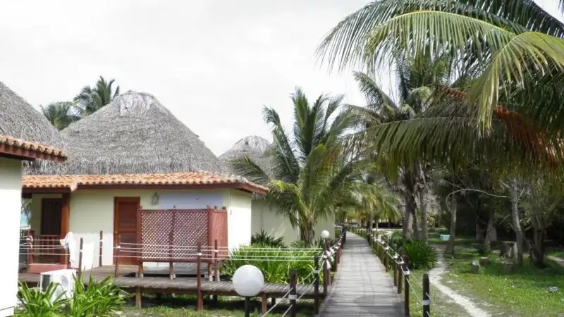CAYO LEVISA
