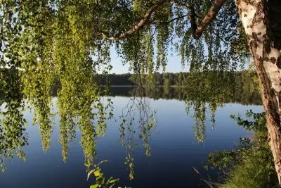 БРЕСТАГРОЗДРАВНИЦА