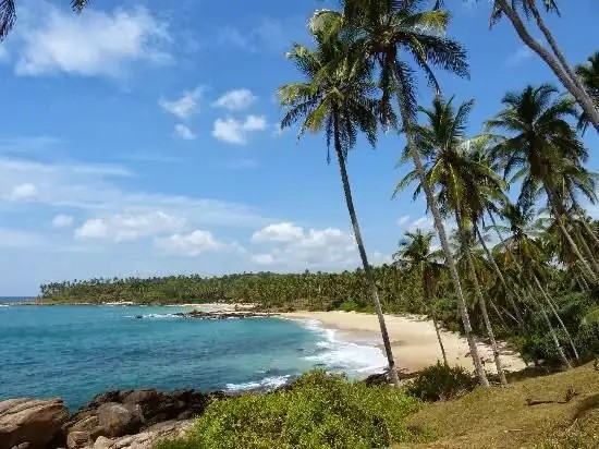 PALM PARADISE VILLAS