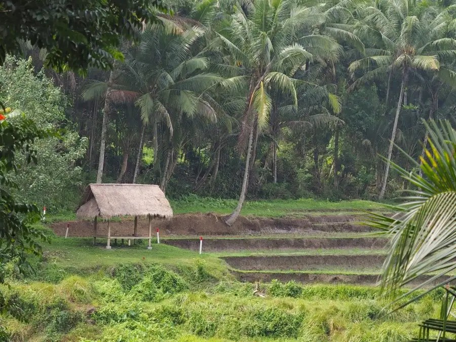 SVARGA LOKA