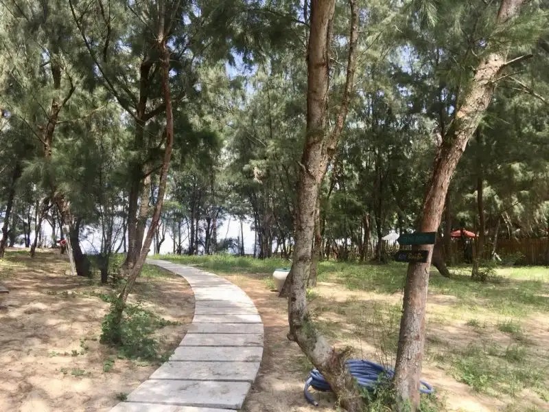 SOL AN BANG HOMESTAY BEACH RESORT