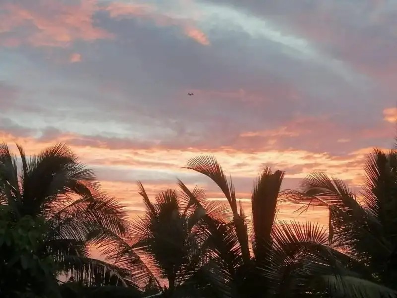 LE PETIT HOTEL NEGOMBO