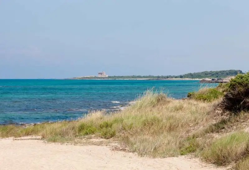 MEDITUR VILLAGE