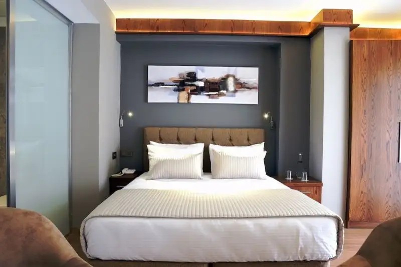THE ELEGANT HOTEL