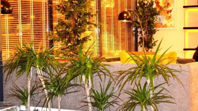 TEMPO FAIR SUITES