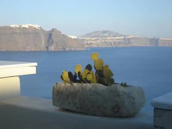 DELFINI VILLAS