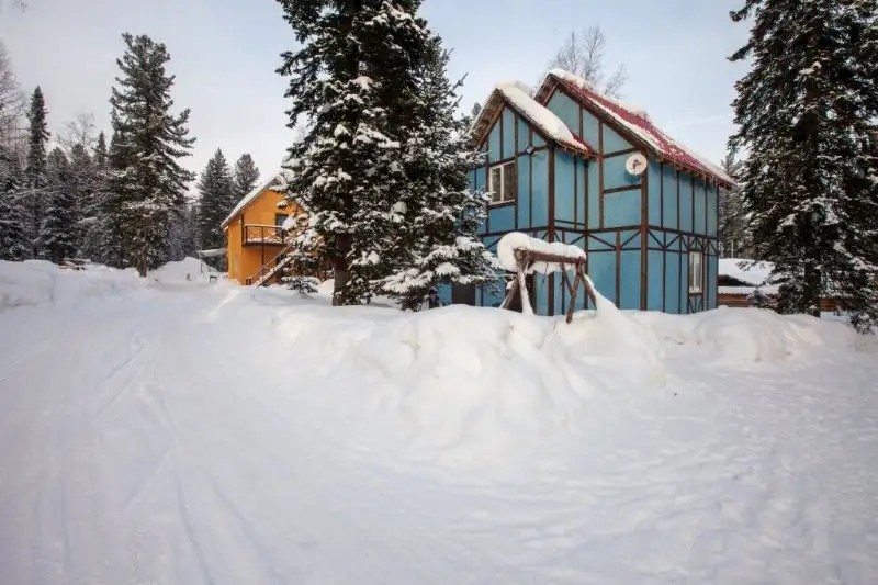 ЗАПОВЕДНЫЙ ЛЕС