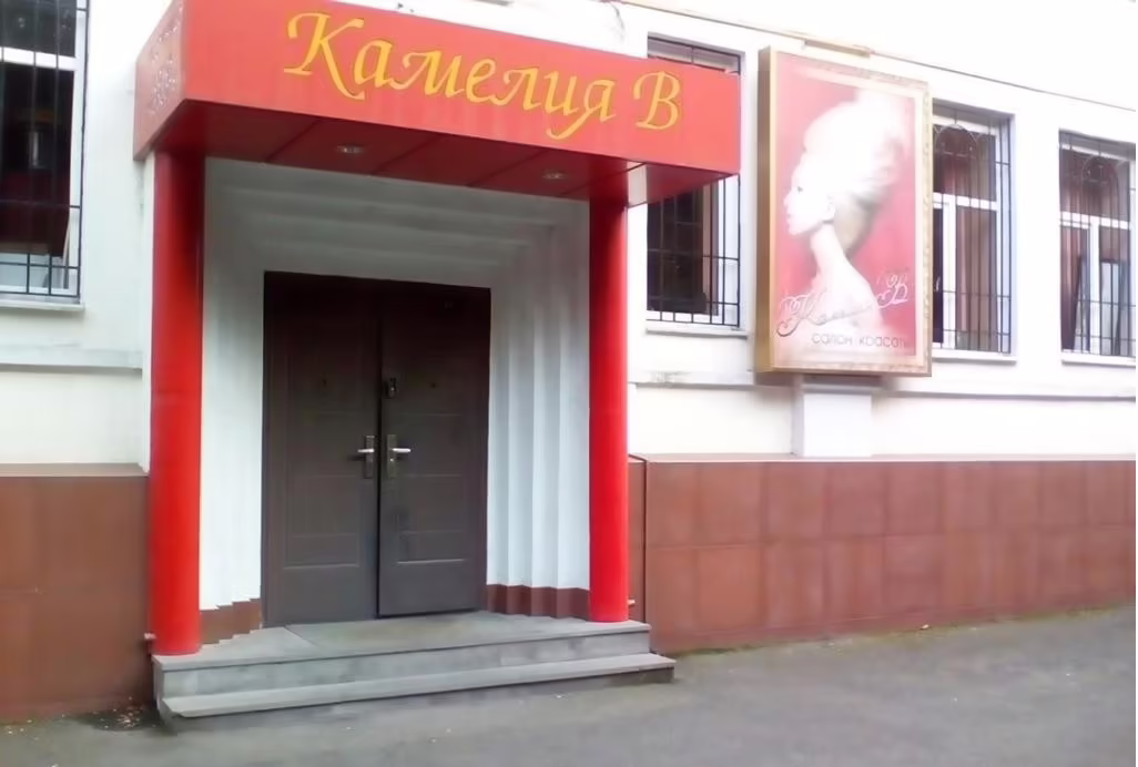 КАМЕЛИЯ-В