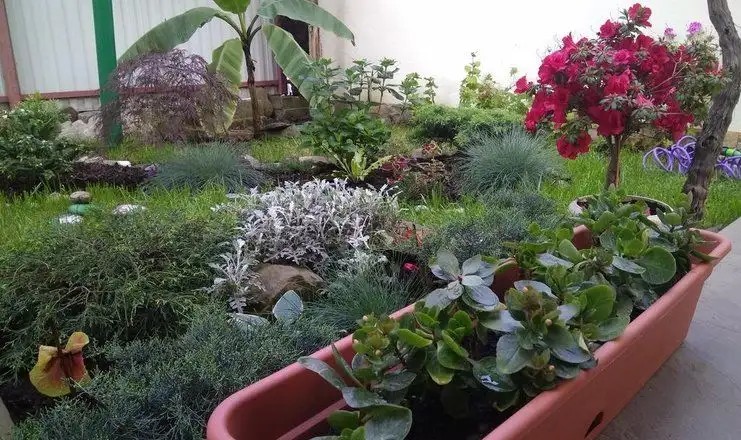 ОСТРОВ СОЧИ (OSTROV SOCHI)