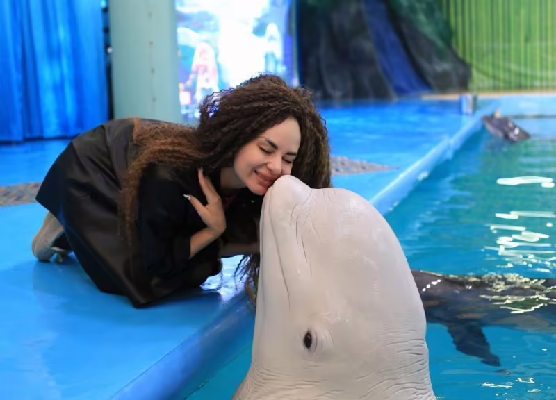 DOLPHIN PLANET HOTEL & SPA