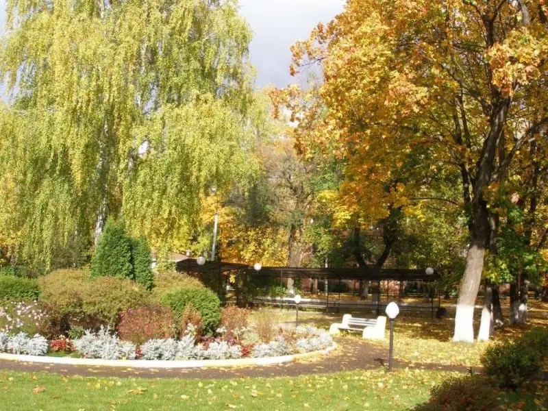 СОСНЫ РАМЕНСКОЕ
