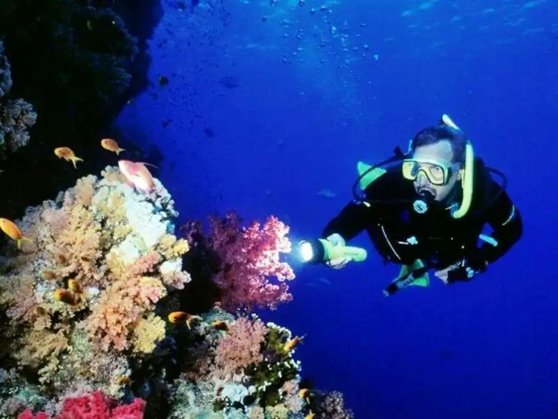 MIRAMAR RESORT TABA HEIGHTS (EX. HYATT REGENCY TABA HEIGHTS)