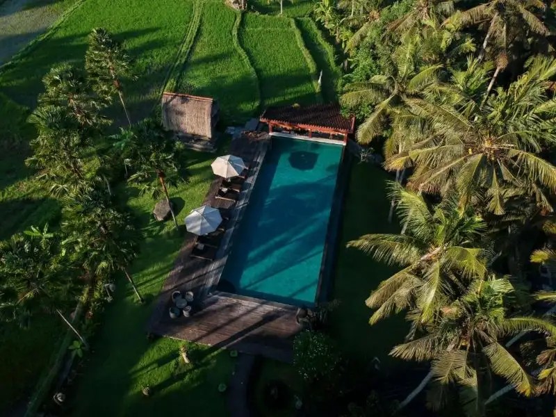 THE ARTINI DIJIWA UBUD
