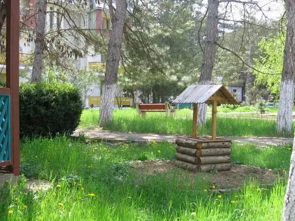 ОРЛИНЫЙ ПОЛЕТ (БЫВШ. АТЕЛИКА ОРЛИНЫЙ ПОЛЕТ)