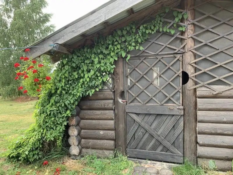 WOODEN HOUSE IN DRAKINO