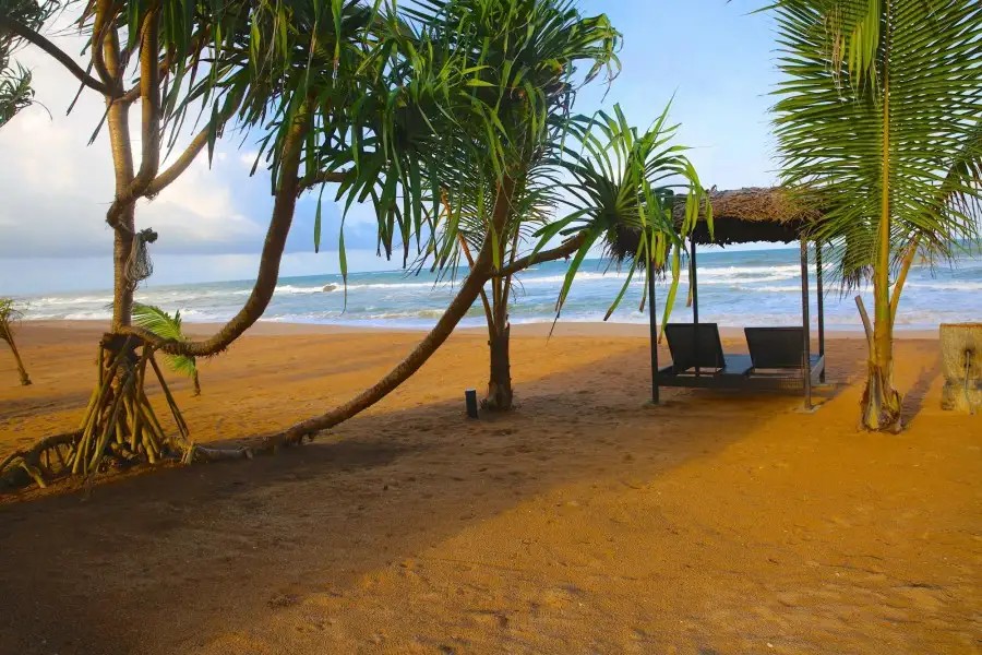 WHISPERING PALMS