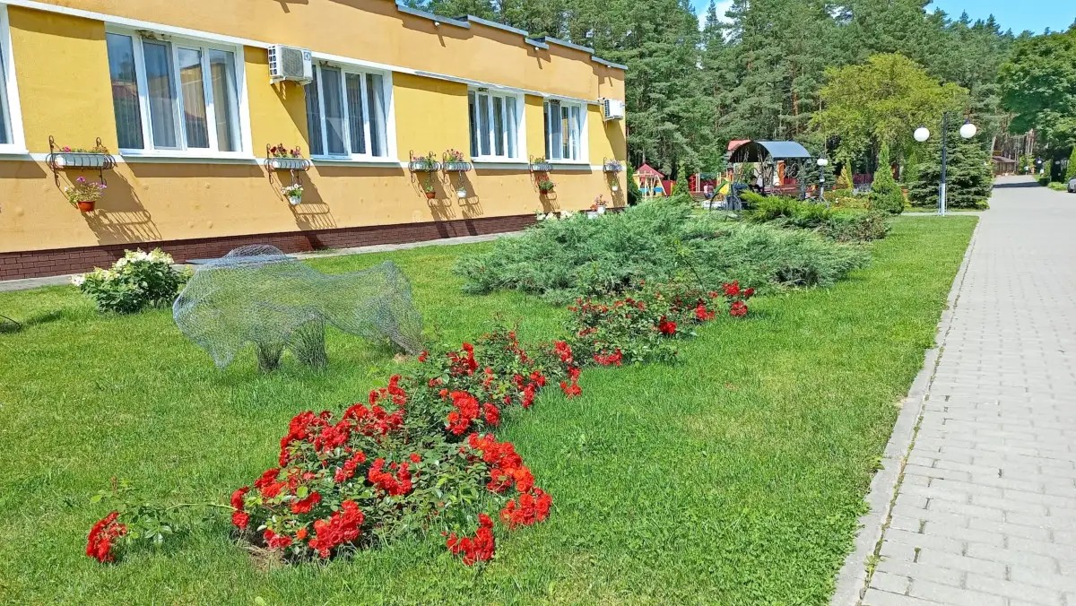 ЛЕСНЫЕ ОЗЕРА