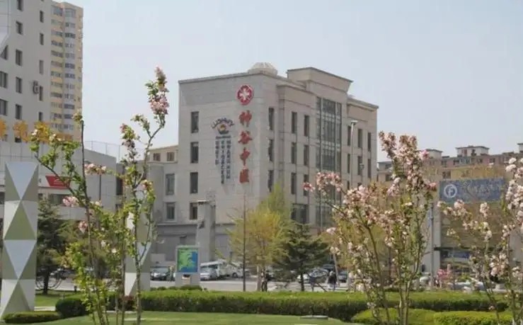 SHENGU (ШЕНЬГУ)