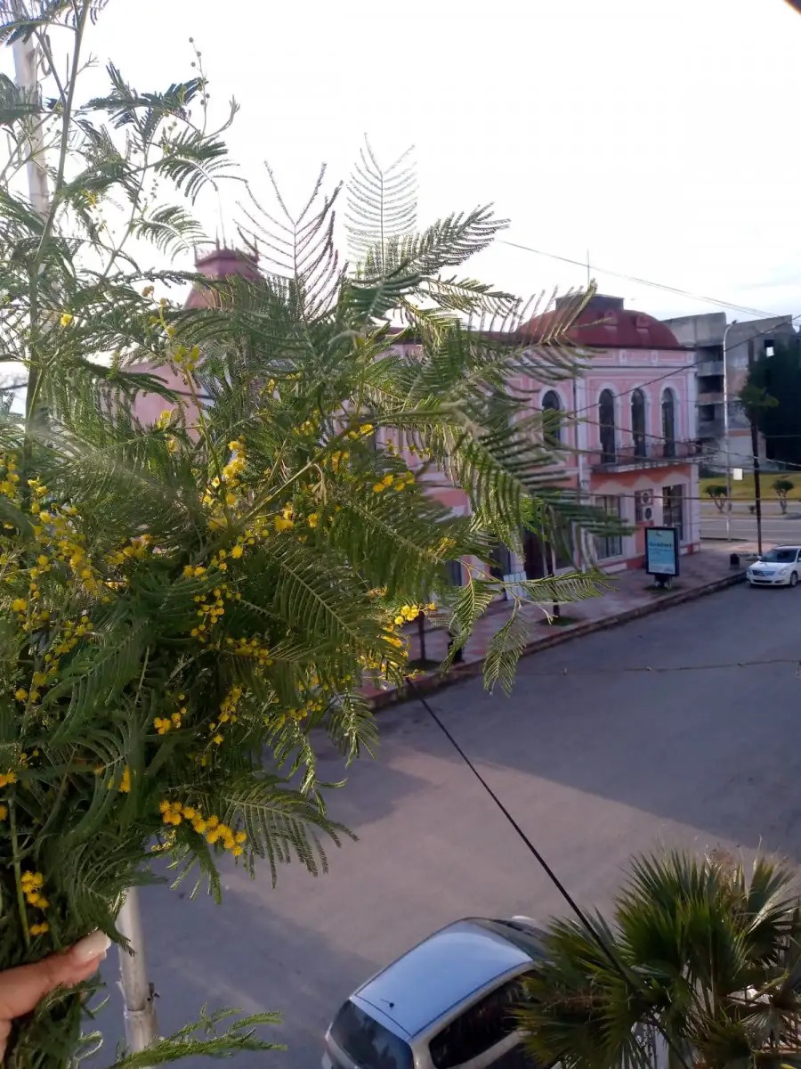 АН-ТЕЙ (СВЕТЛЫЙ ПУТЬ АПСНЫ)