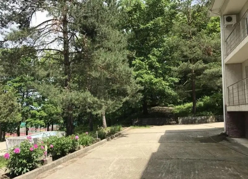 БЕРЕЗКА