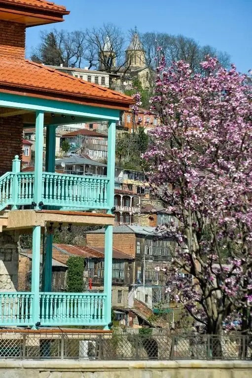 MAGNOLIA KUTAISI