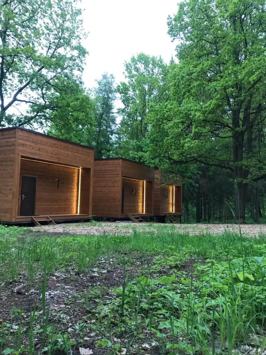 RUZA FOREST