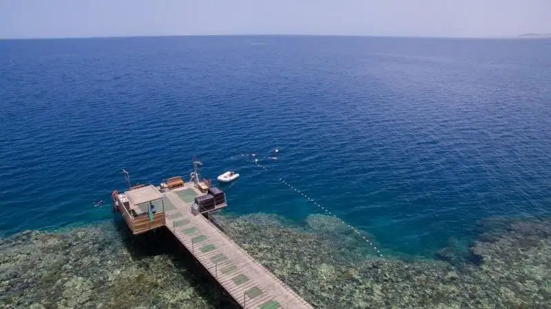 GORGONIA BEACH RESORT