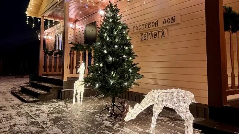 БЕРЛОГА
