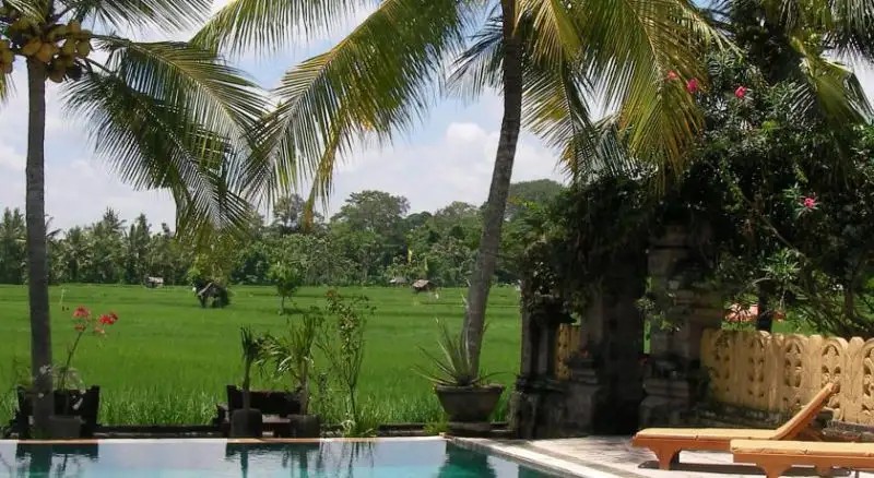 GREEN FIELD