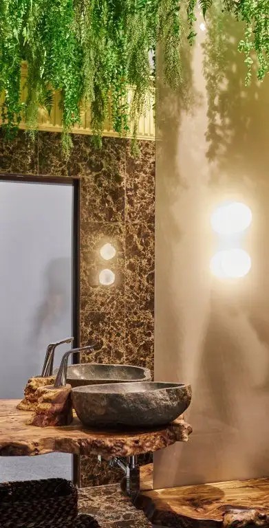 CHALET BRIOLE