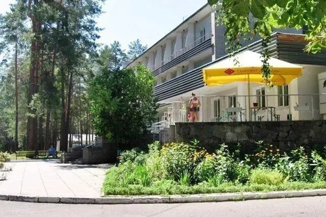 БЕРЕЗИНА
