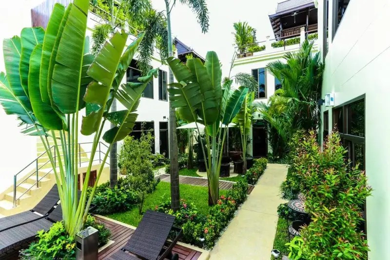 PALM OASIS BOUTIQUE HOTEL