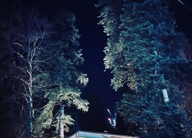 ОЗОН