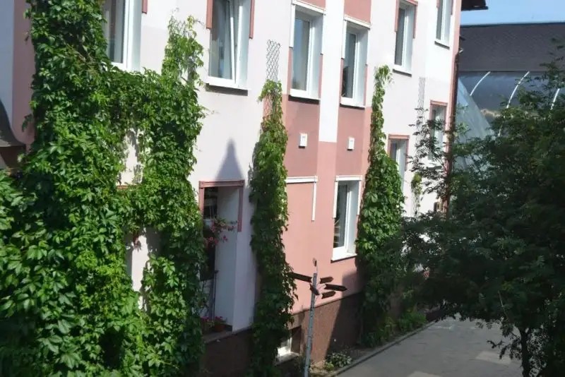 ЭКОТЕЛЬ СНЕГИРЕК