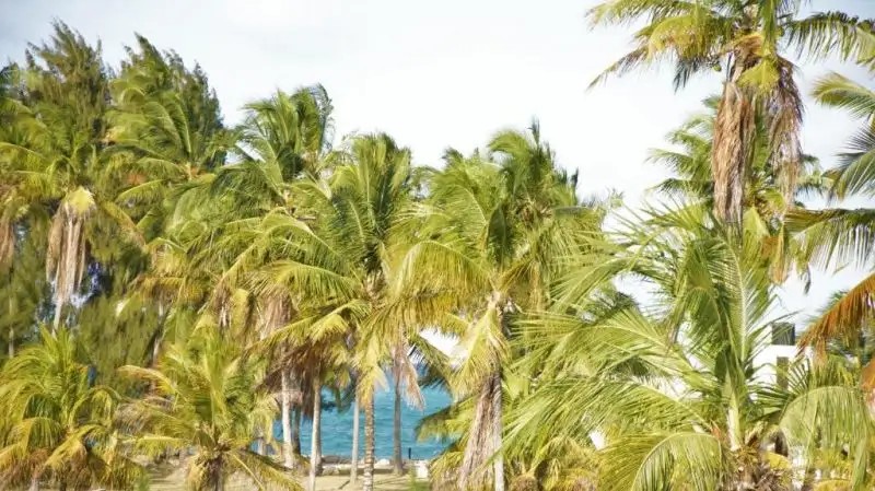PAJE BLU BOUTIQUE HOTEL