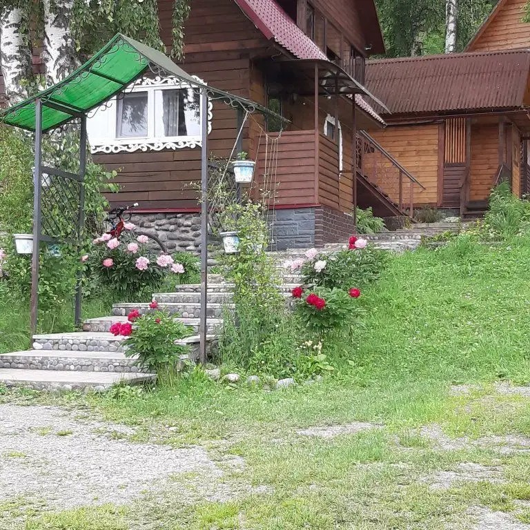 БАЗА ОТДЫХА СКАЗКА