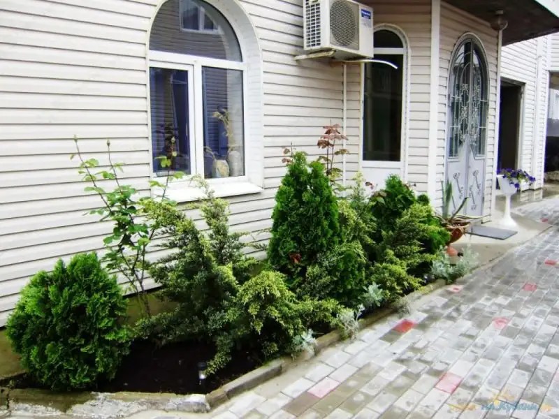 ЛАГУНА ГК