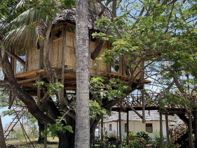 tree house