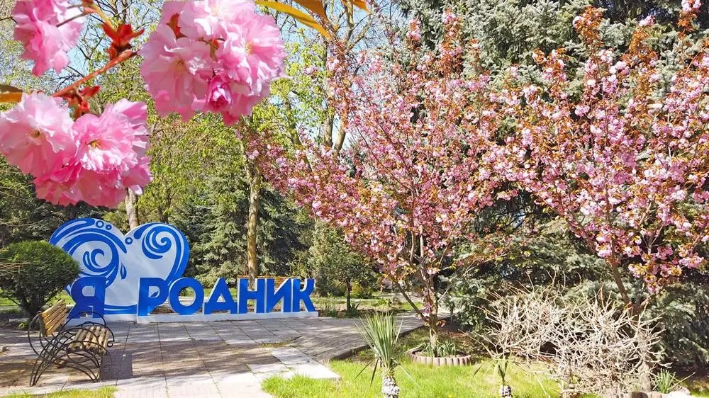 РОДНИК