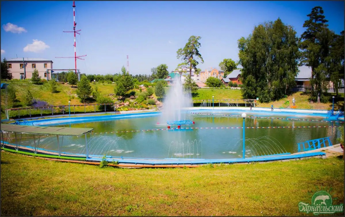 БАРНАУЛЬСКИЙ