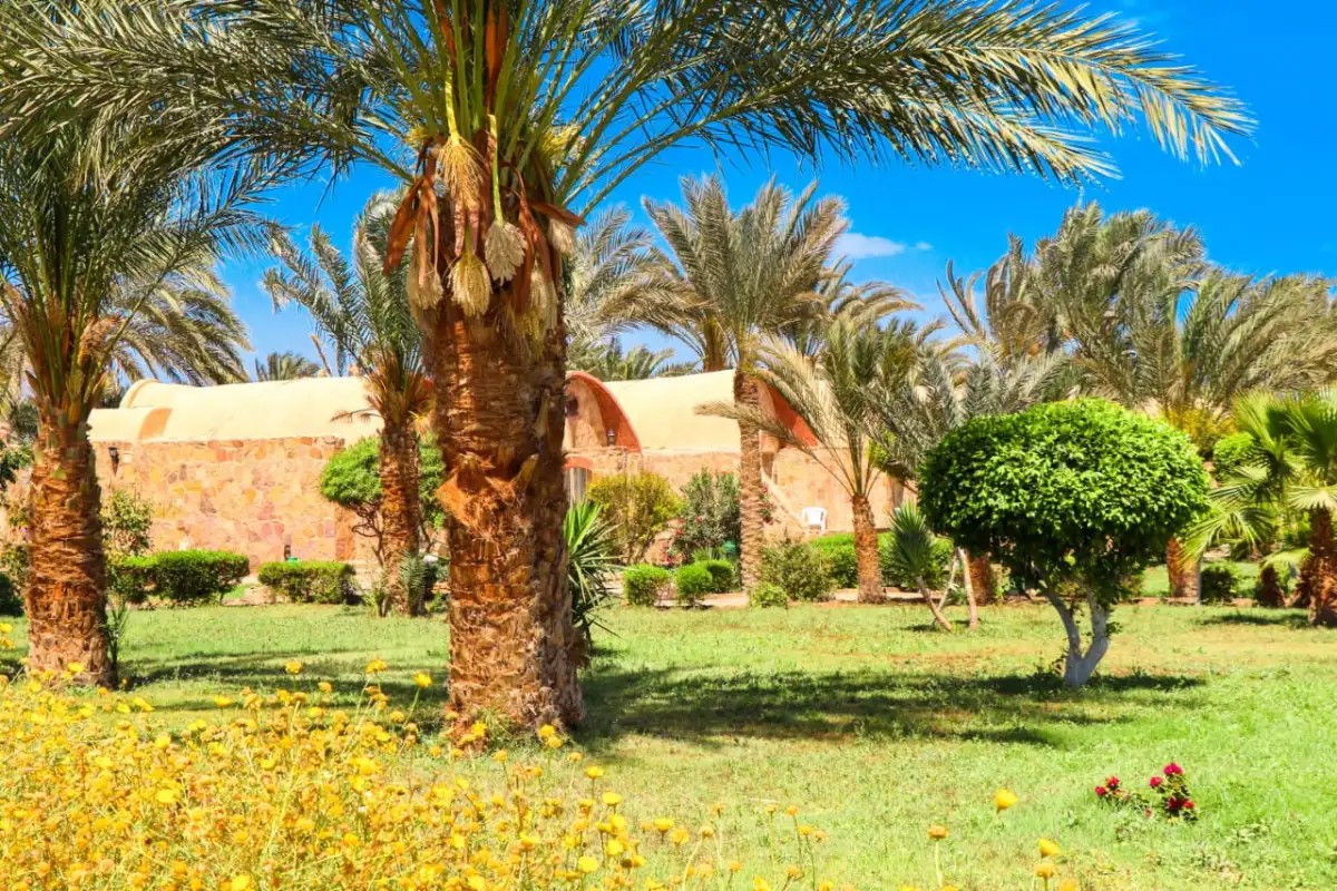 PENSEE ROYAL GARDEN (EX. PENSEE BEACH RESORT)