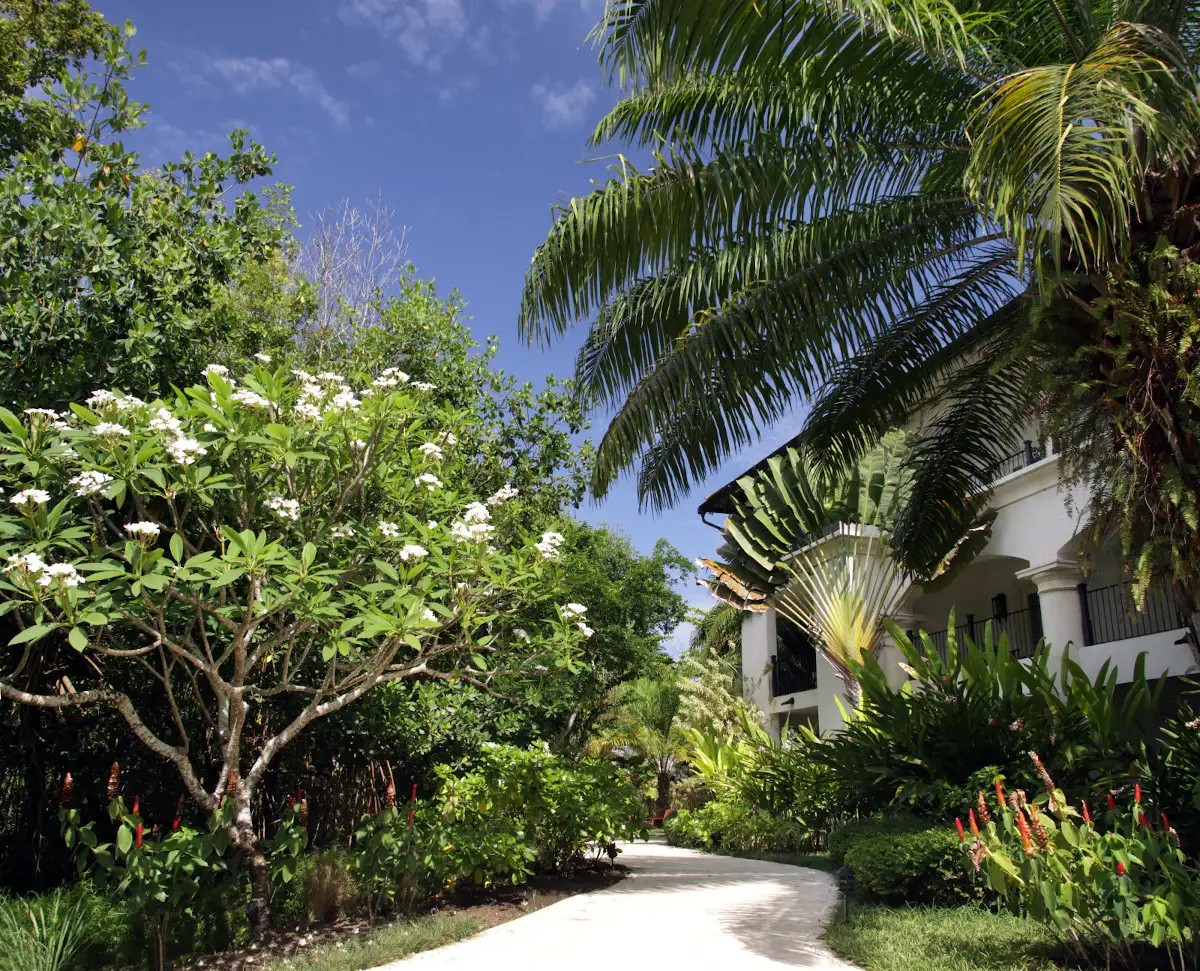 CASA COLONIAL BEACH & SPA