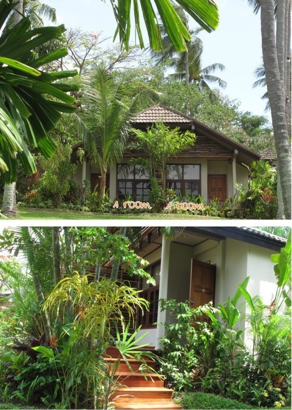 garden view room